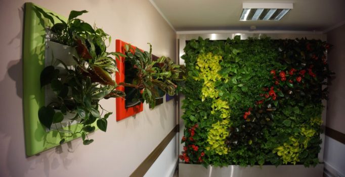 Фитокартина Flowall (Франция)